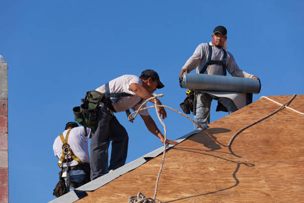 Best Roof Gutter Cleaning  in Elbow Lake, MN