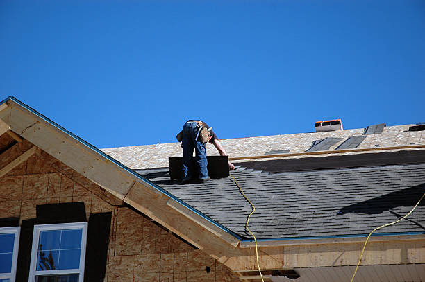 Professional Roofing Contractor in Elbow Lake, MN