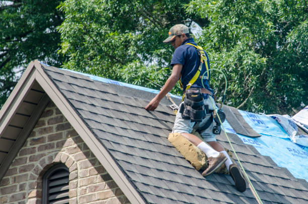 Quick and Trustworthy Emergency Roof Repair Services in Elbow Lake, MN
